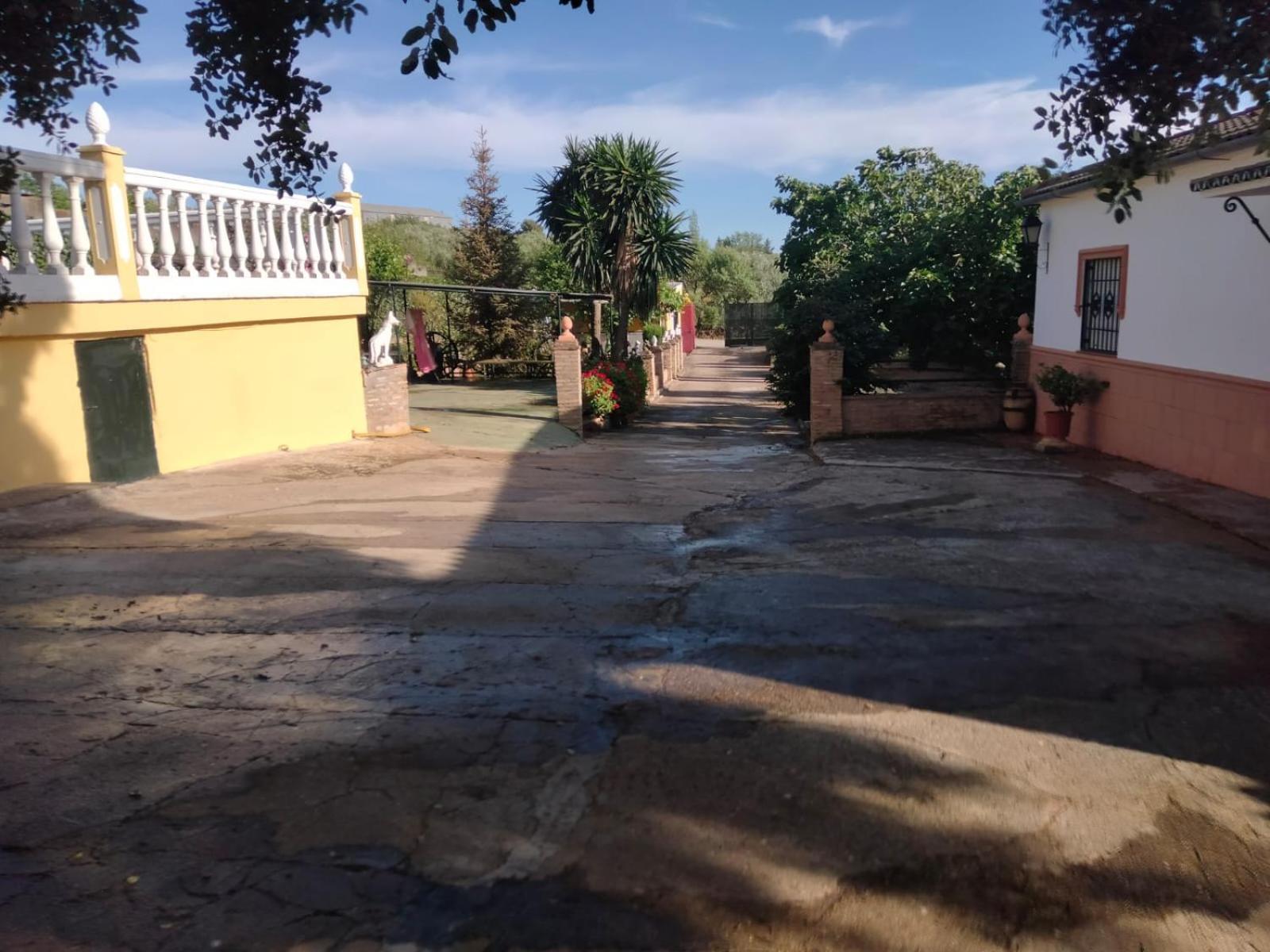 Villa Santakiela Ronda Bagian luar foto